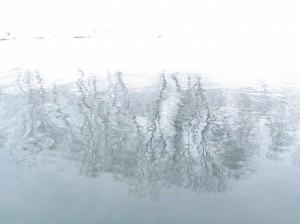 P1018557